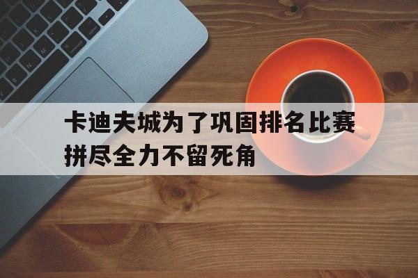 卡迪夫城为了巩固排名比赛拼尽全力不留死角(卡迪夫城是哪个国家)